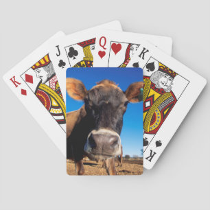 Jeu De Cartes Une vache du Jersey étant curieuse