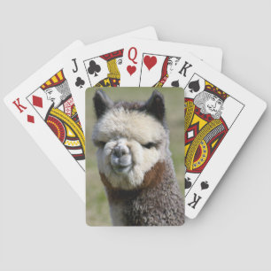 Jeu De Cartes Up Close Grey Alpaca Playing Cards