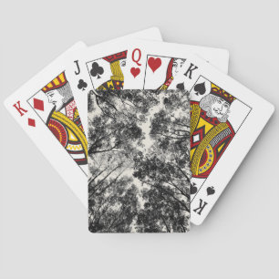 Jeu De Cartes Up Through The Trees, 2018   SVP Images