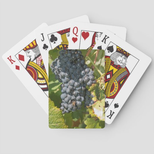 Jeu De Cartes Uruguay, Montevideo, Colon Area. Bodegas (dos)