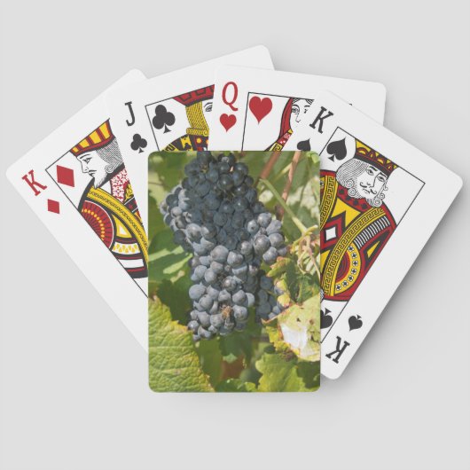 Jeu De Cartes Uruguay, Montevideo, Colon Area. Bodegas (dos)