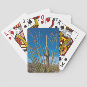 Jeu De Cartes USA, Arizona. Cactus Dans Le Parc National Du Sagu