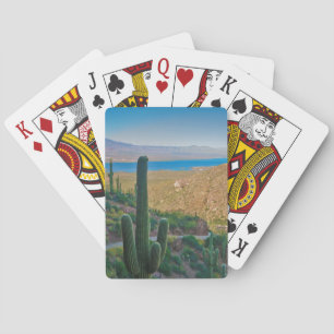 Jeu De Cartes USA, Arizona. Vue De L'Entrée À Tonto