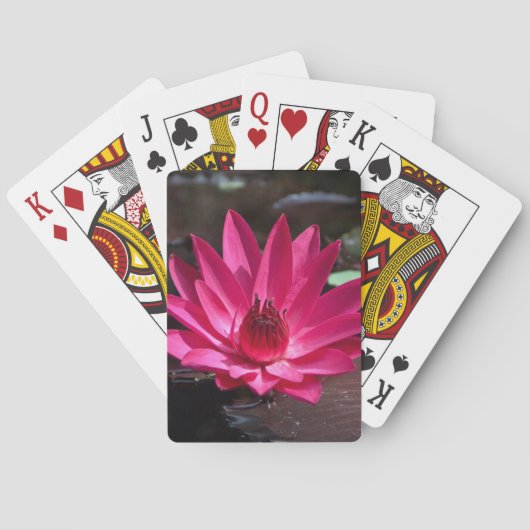 Jeu De Cartes USA, Kansas, Lilly rouge vif (dos)