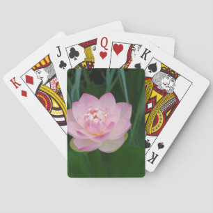 Jeu De Cartes USA, Kansas, Pink Water Lilly