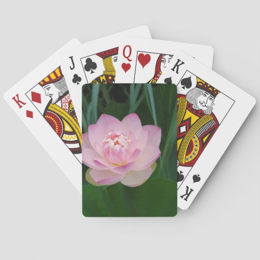 Jeu De Cartes USA, Kansas, Pink Water Lilly (dos)