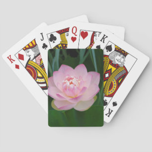 Jeu De Cartes USA, Kansas, Pink Water Lilly