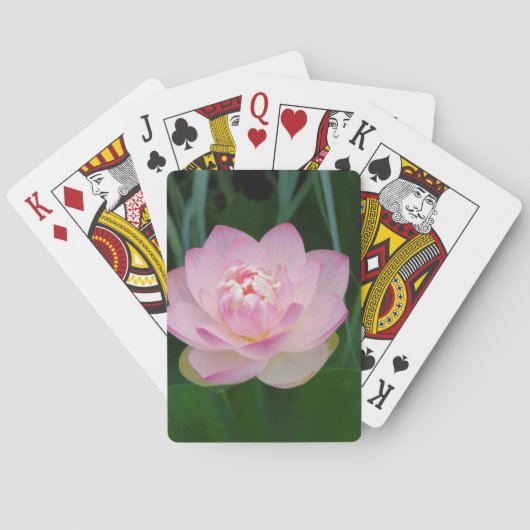 Jeu De Cartes USA, Kansas, Pink Water Lilly (dos)