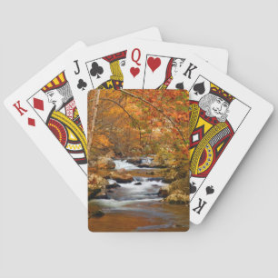 Jeu De Cartes USA, Tennessee. Ruisseau Rushing Mountain