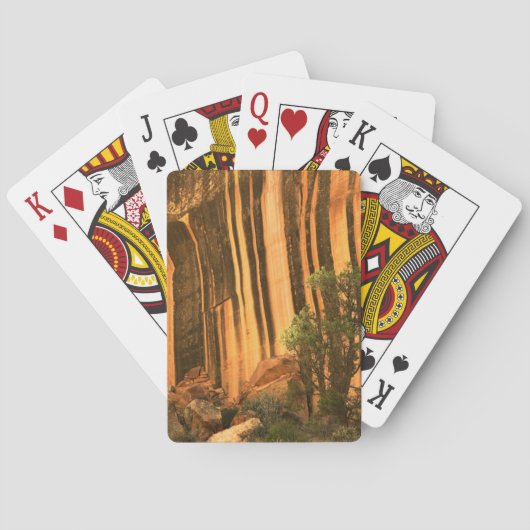 Jeu De Cartes USA, Utah, Parc national du Capitol Reef (dos)