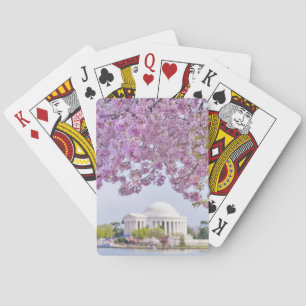 Jeu De Cartes USA, Washington DC, Cherry tree in bloom