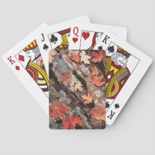 Jeu De Cartes Utah, Parc national de Sion, Motifs de l'automne