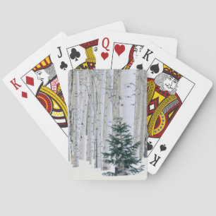 Jeu De Cartes UTAH. USA. Aspen (Populus tremuloides) et Douglas