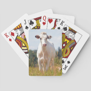 Jeu De Cartes Vache blanche dans le pâturage