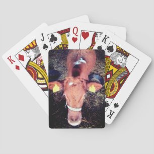 Jeu De Cartes vache Brown