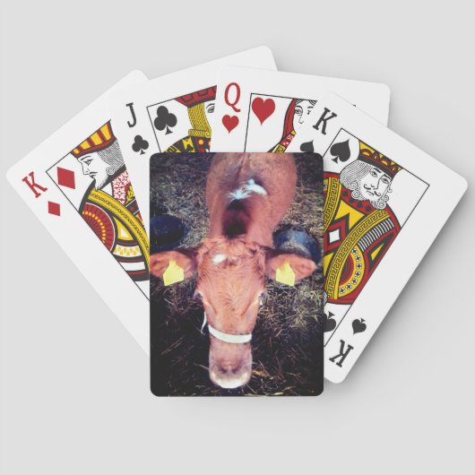Jeu De Cartes vache Brown (dos)