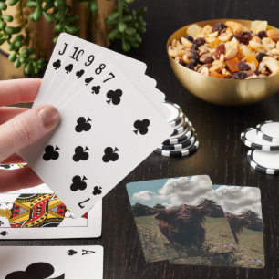 Jeu De Cartes Vache écossaise de la région montagneuse noire pât