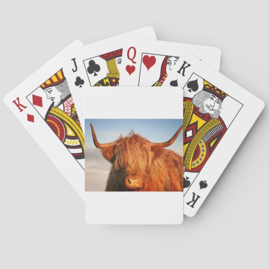 Jeu De Cartes Vache écossaise des Highlands - Écosse (dos)
