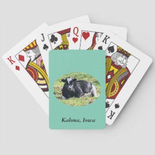Jeu De Cartes Vache laitière au repos, Kalona, Iowa