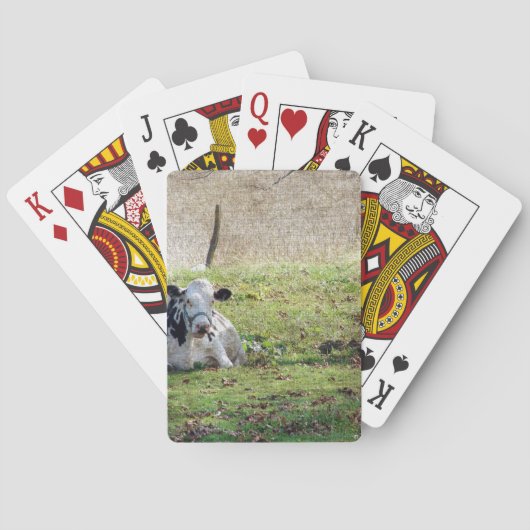 Jeu De Cartes Vache laitière reposante (dos)