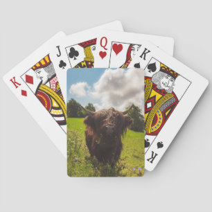 Jeu De Cartes Vache noire pâturage vert champ soleil