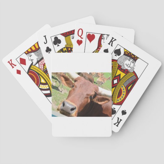 Jeu De Cartes Vache Safari Brown (dos)
