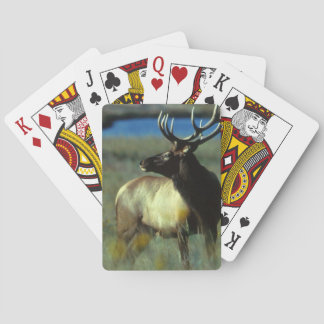 Jeu De Cartes Vélos Elk Jouer aux cartes