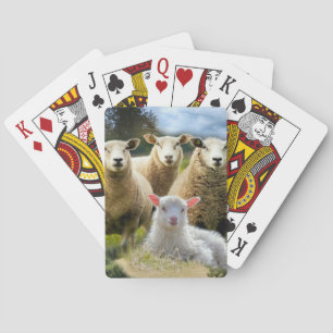 Jeu De Cartes Vestige de mouton Herbe de mouton Agneau de bébé