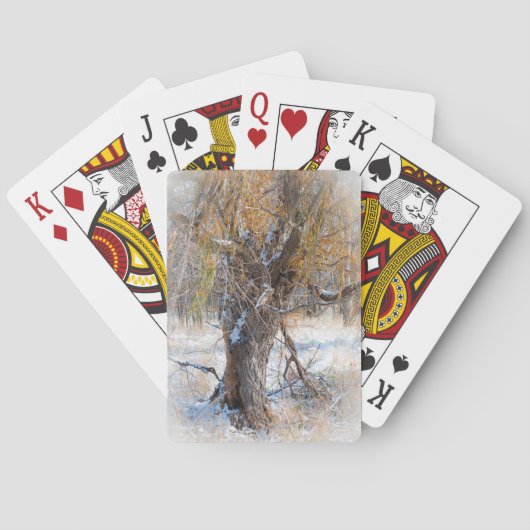 Jeu De Cartes Vieux Homme Willow Walking (dos)