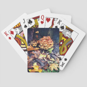 Jeu De Cartes Village des champignons