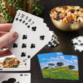 Jeu De Cartes Viña de Los Pinos (In Situ)