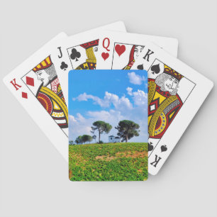 Jeu De Cartes Viña de Los Pinos