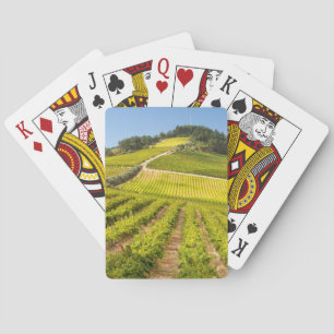 Jeu De Cartes Vineyard, Stellenbosch, Western Cape