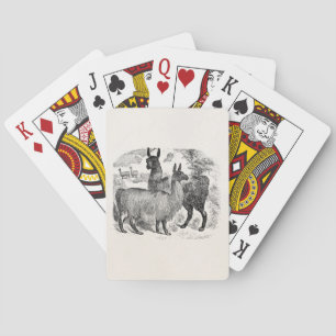 Jeu De Cartes Vintage 1800s Llama Retro Llamas Alpaca Template