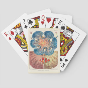 Jeu De Cartes Vintage Grande barrière récif Anémones Carol Fish