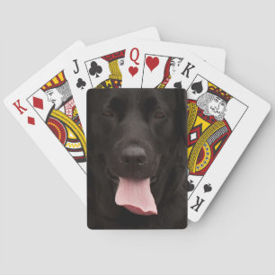 Jeu De Cartes Visage de chien noir