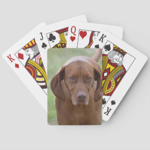Jeu De Cartes Vizsla aimable
