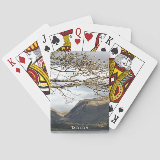 JEU DE CARTES VUES DES ALLES (dos)