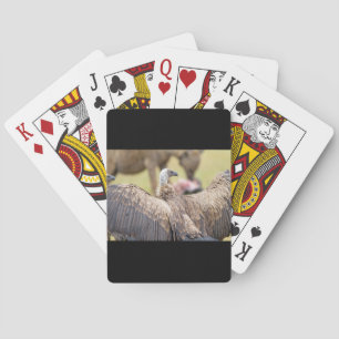 Jeu De Cartes Vulture