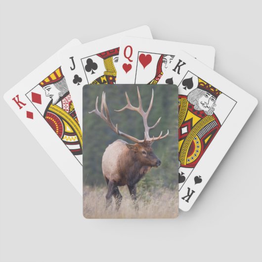 Jeu De Cartes Wapiti des montagnes Rocheuses (dos)