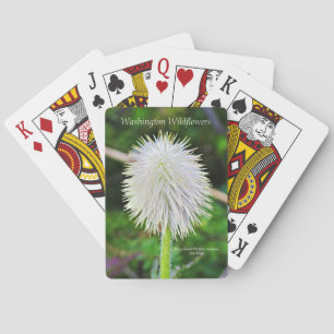 Jeu De Cartes Washington Wildflower Pasqueflower White Seed Head