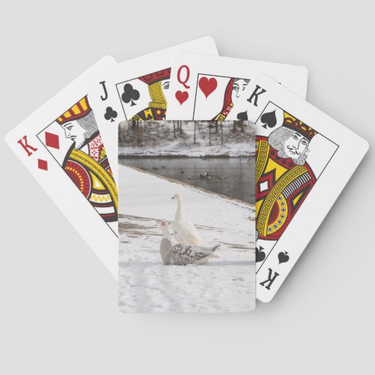 Jeu De Cartes Whats Up Goose (dos)