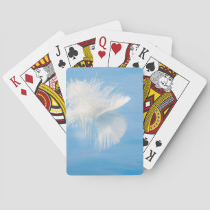 Jeu De Cartes White Feather Reflects on Water Seabeck, WA