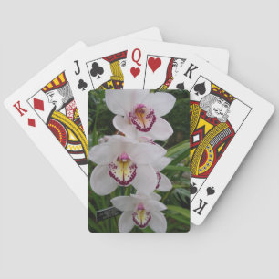Jeu De Cartes White Orchids Beautiful Tropical Flowers