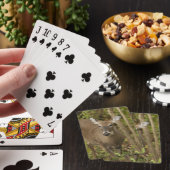 Jeu De Cartes White Tailed (In Situ)