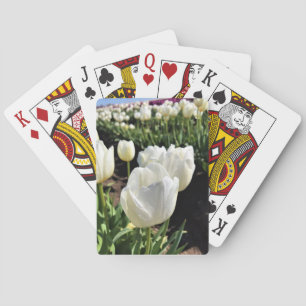 Jeu De Cartes White Tulips à Field, Woodburn, Oregon
