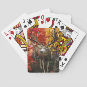Jeu De Cartes Whitetail En Automne