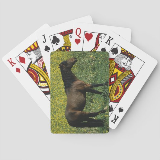 Jeu De Cartes Wild Mustang Horse Standing à Flowers (dos)