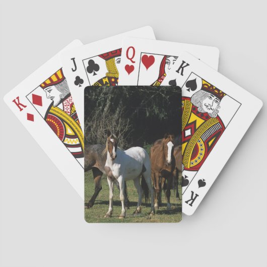 Jeu De Cartes Wild Mustang Horses 1 (dos)