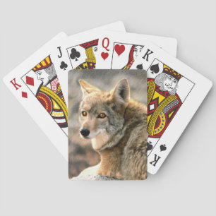 Jeu De Cartes Wolf Rain Graphisme